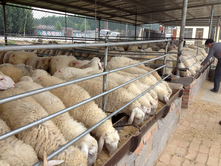 養殖場恒溫空氣能熱水工程解決方案